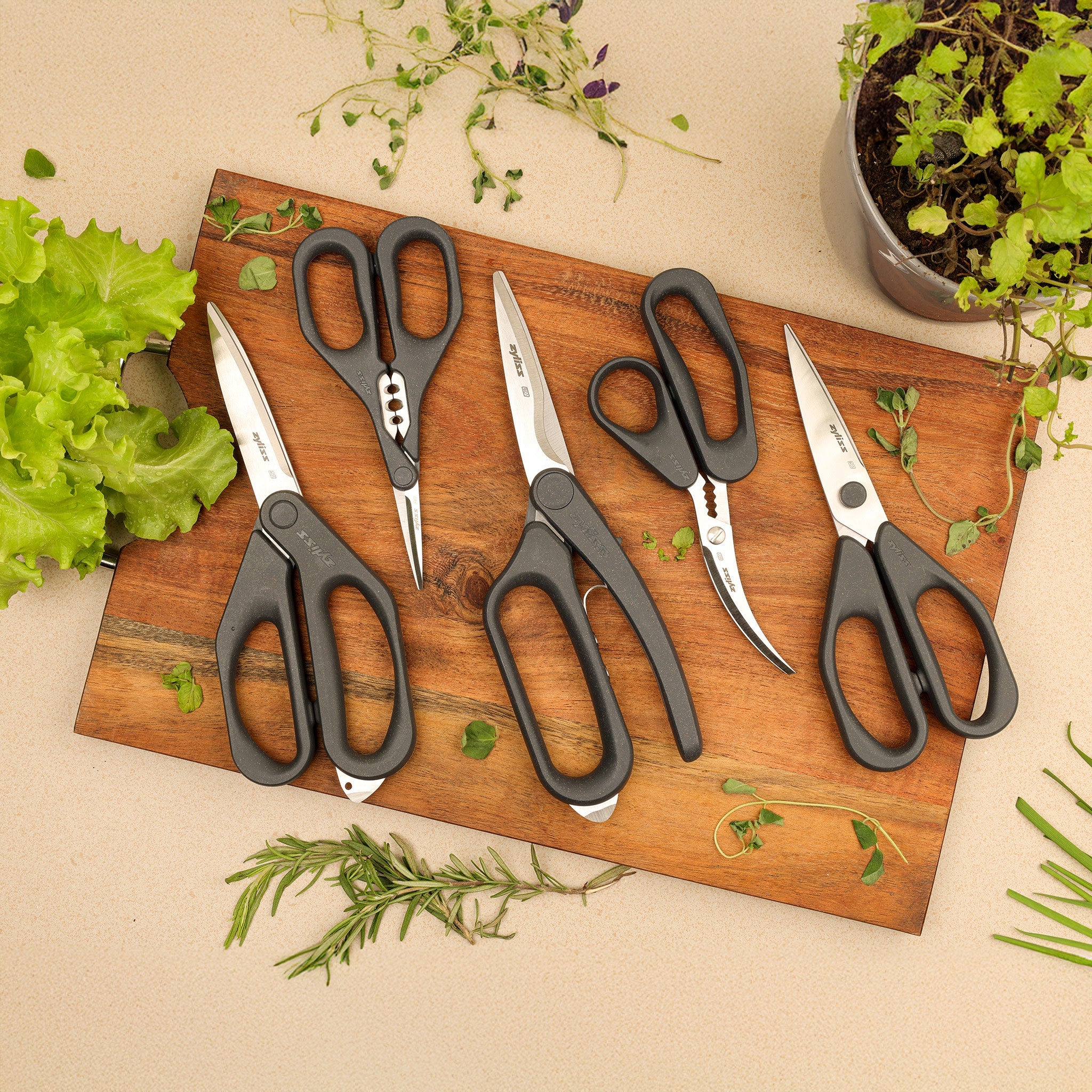 Scissors & Shears | Zyliss